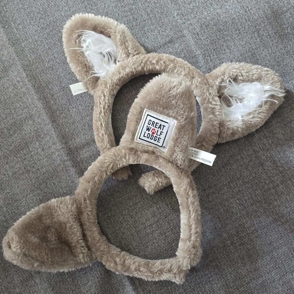 Great Wolf Lodge Ears